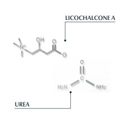 Eucerin Hoofdhuidbehandeling Dermocapillaire -Kortingswinkel voor verzorgingsproducten 888253 4