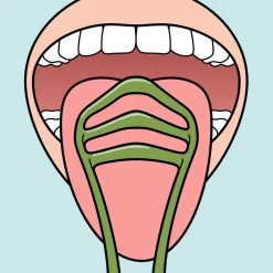 3x TePe Tongreiniger Good -Kortingswinkel voor verzorgingsproducten 996647 3